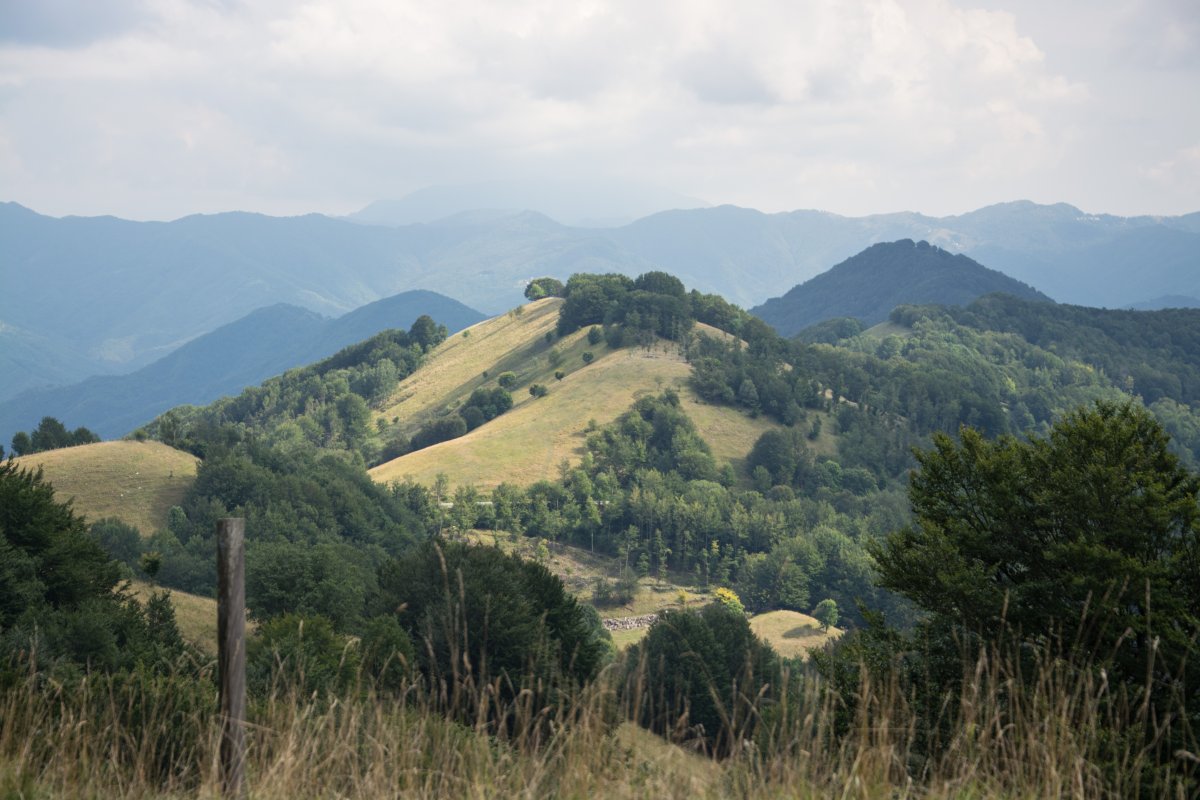 Monte Antola