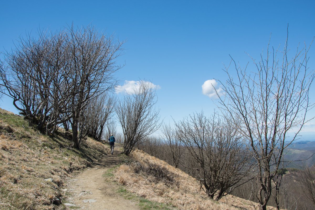 Monte Antola