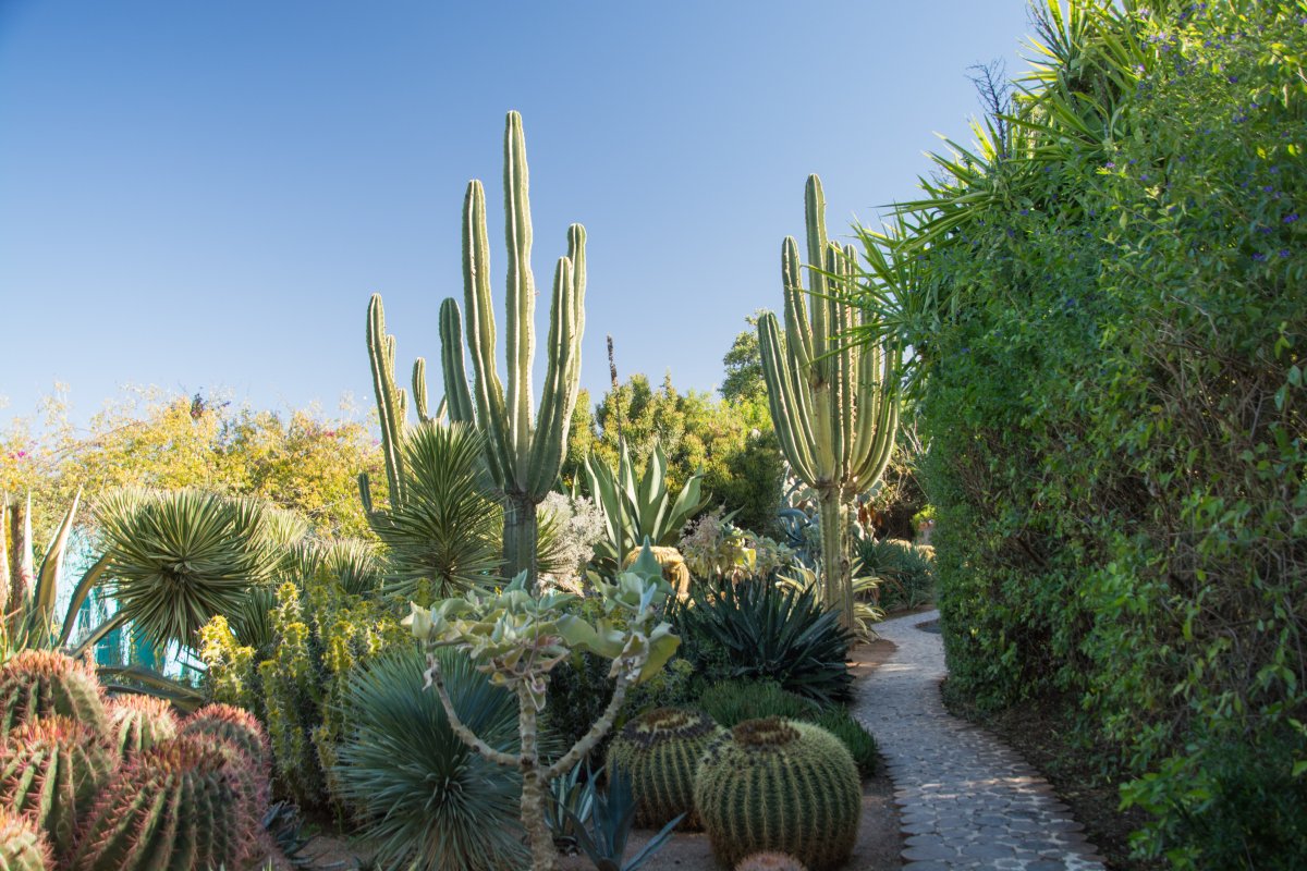 Der  Anima Garten ist ein junger Garten, trotz alter Pflanzen