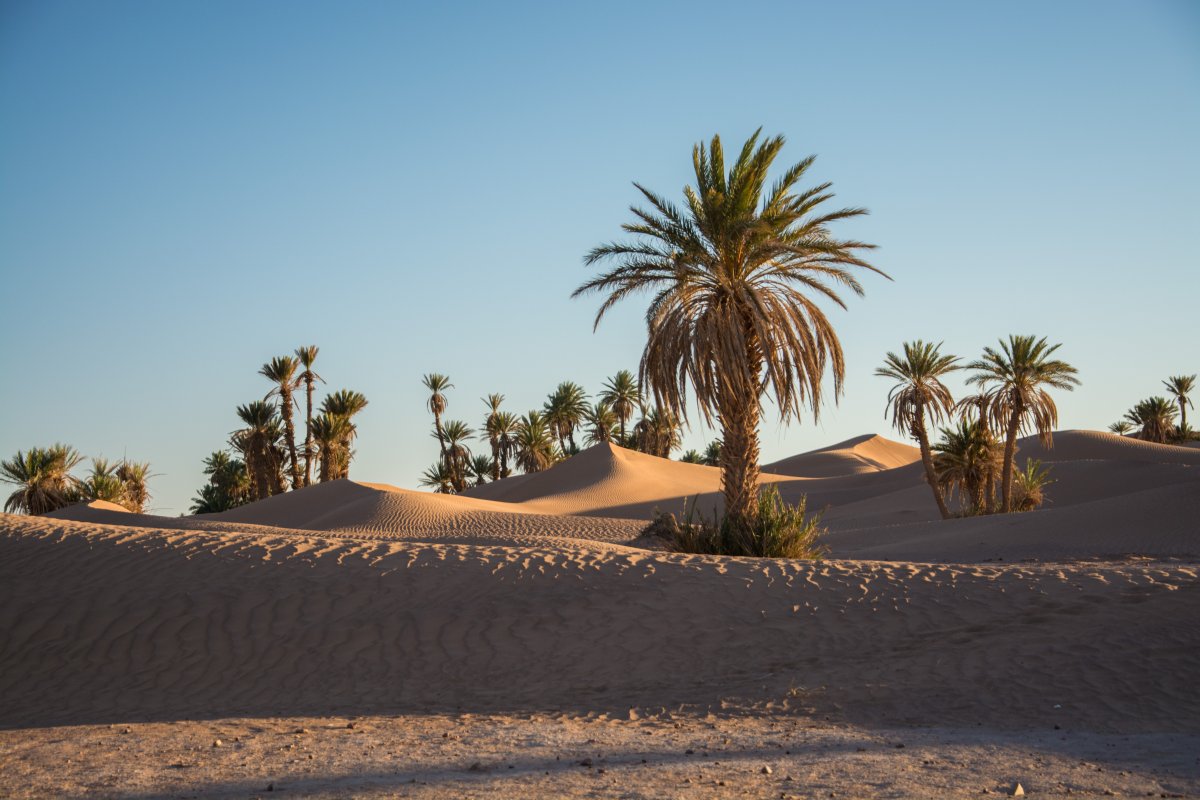 Hinter Ouarzazate