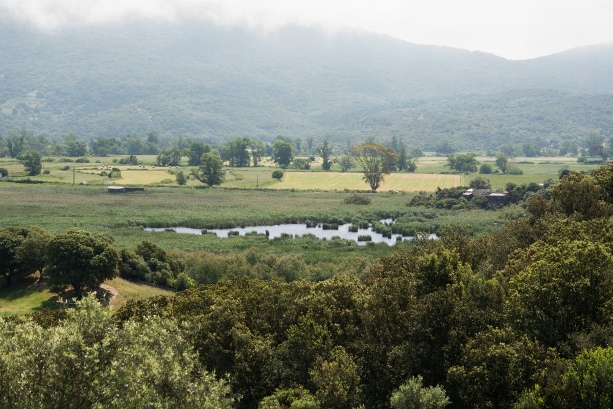 Etang bei PortoPollo, Porto Pollo, Korsika