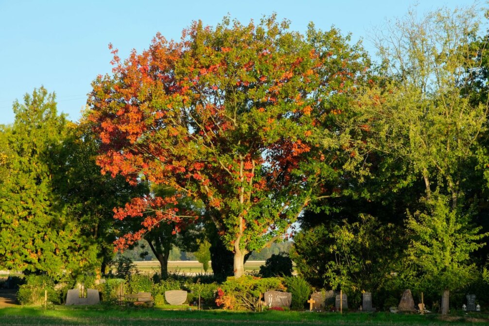 Herbstleuchtfeuer