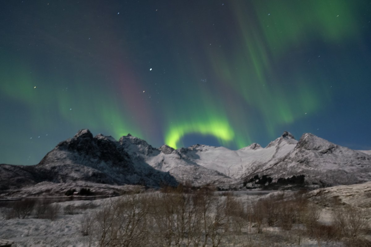 Polarlicht über den Lofoten