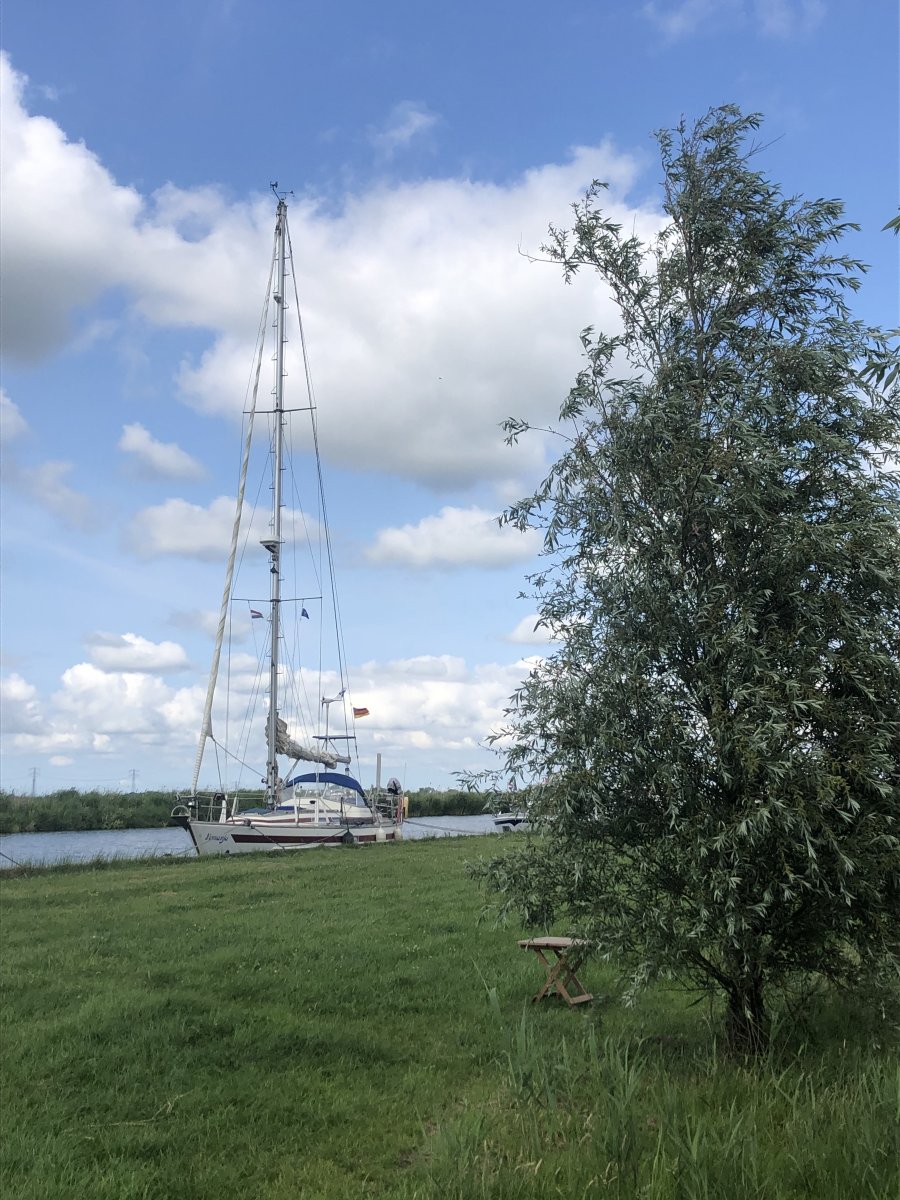 Yemanja an der Wiese in Weigea