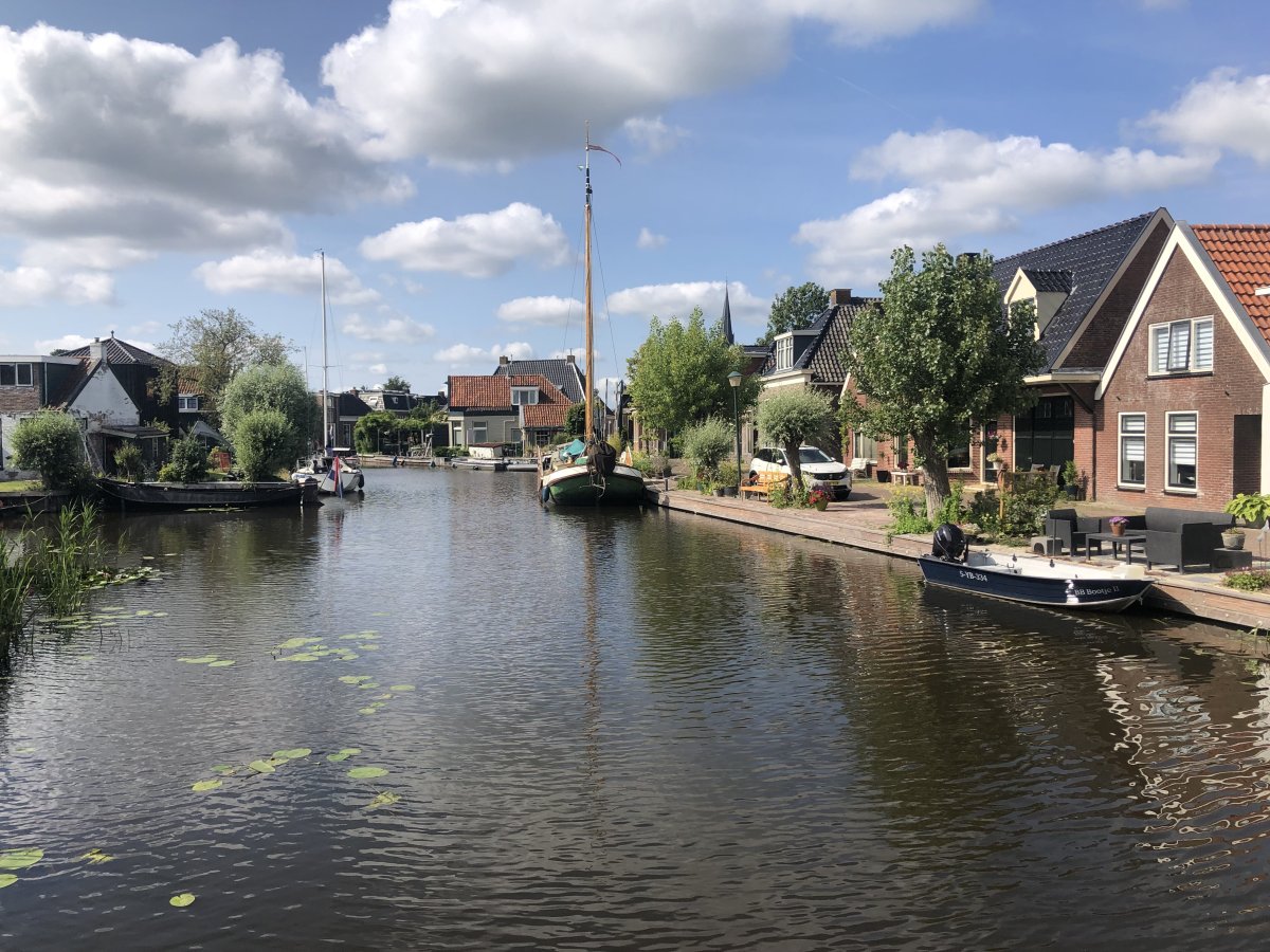 Weigea, klein aber doch irgendwie fein